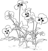 CGA50712.TIF