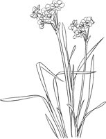 CGA50710.TIF