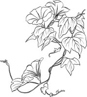 CGA50709.TIF