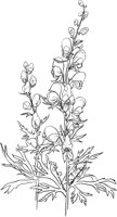 CGA50708.TIF