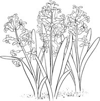 CGA50705.TIF
