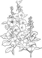 CGA50704.TIF