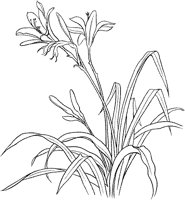 CGA50700.TIF