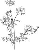 CGA50696.TIF