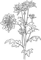 CGA50694.TIF