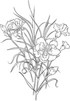CGA50693.TIF