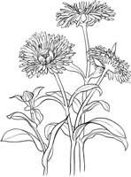 CGA50692.TIF