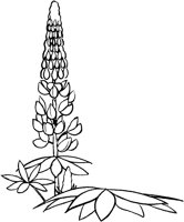 CGA50691.TIF
