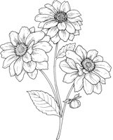 CGA50686.TIF