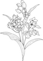 CGA50683.TIF