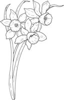 CGA50680.TIF