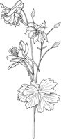 CGA50679.TIF