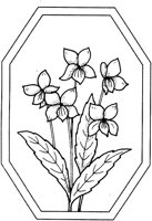 CGA50678.TIF