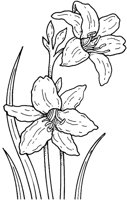 CGA50677.TIF