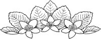 CGA50676.TIF