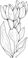 CGA50675.TIF