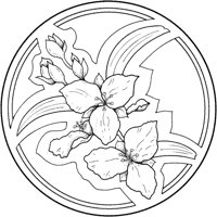 CGA50673.TIF