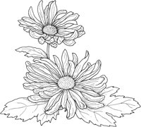 CGA50670.TIF