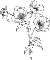 CGA50669.TIF