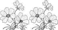 CGA50666.TIF