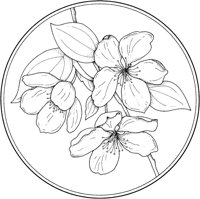 CGA50665.TIF