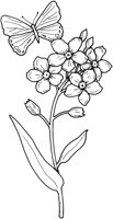 CGA50661.TIF