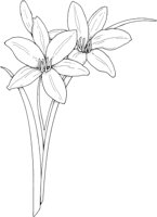CGA50658.TIF