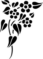 CGA50646.TIF