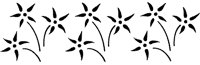 CGA50644.TIF