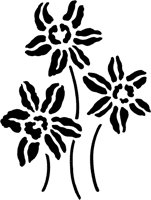 CGA50633.TIF