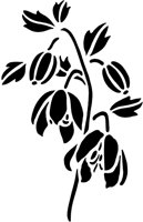 CGA50631.TIF