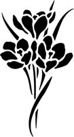 CGA50629.TIF