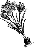 CGA50619.TIF