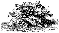 CGA50618.TIF