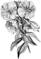 CGA50615.TIF