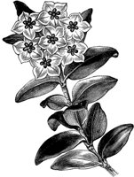 CGA50610.TIF