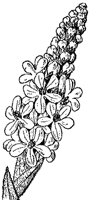 CGA50609.TIF
