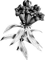 CGA50602.TIF