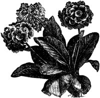 CGA50587.TIF