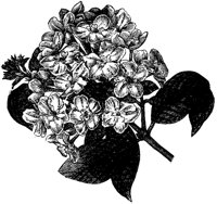 CGA50584.TIF
