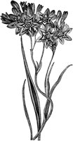 CGA50580.TIF
