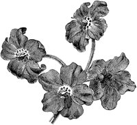 CGA50574.TIF