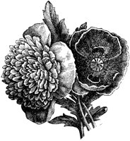 CGA50571.TIF