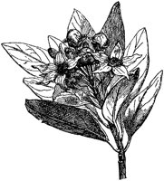 CGA50566.TIF