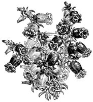 CGA50565.TIF