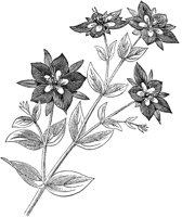 CGA50563.TIF
