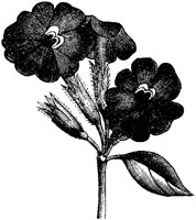 CGA50561.TIF