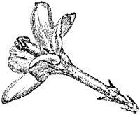 CGA50553.TIF