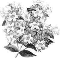 CGA50534.TIF
