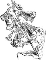 CGA50521.TIF